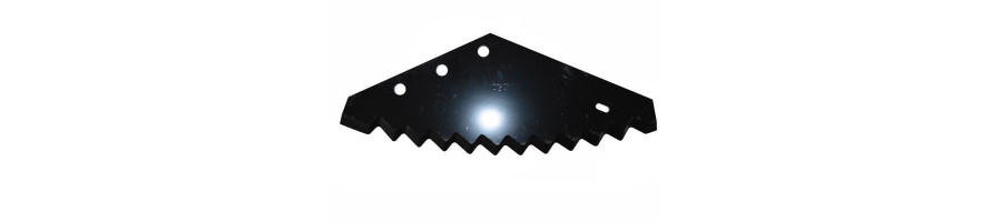 BVL